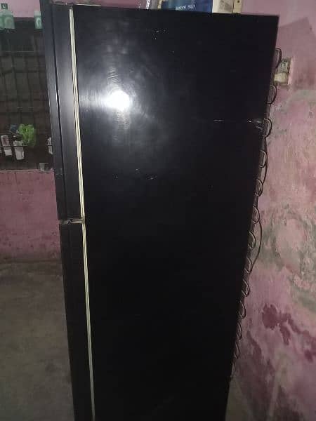 Electrolux refrigerator 4