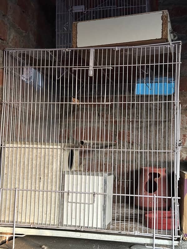 birds cage 2