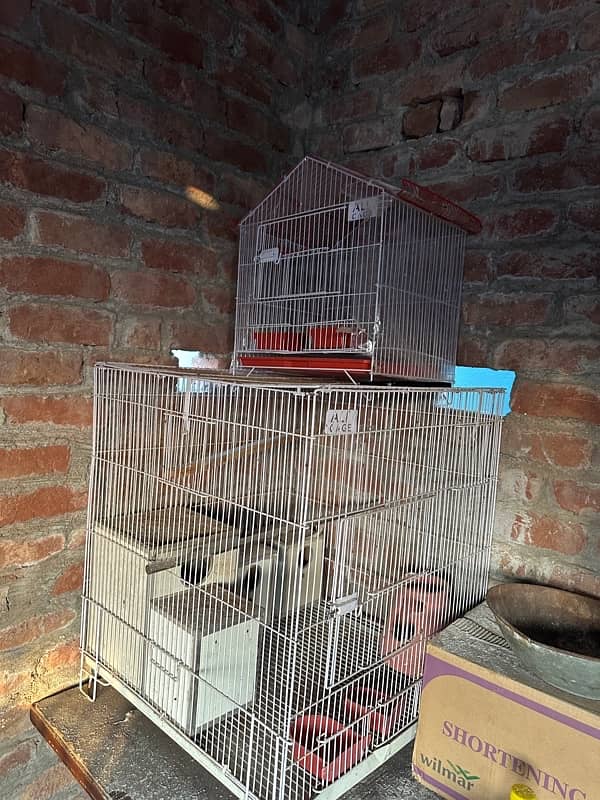 birds cage 3