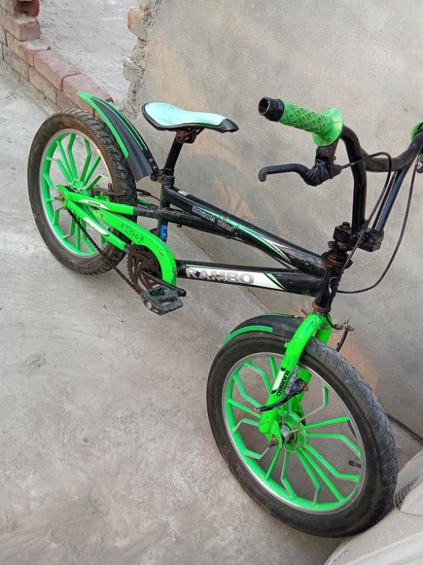 Imported fat bike with alloy rims 2