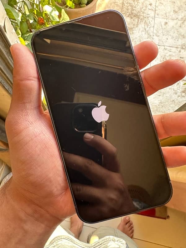 Iphone 13 Pro Max Non PTA 256gb 2