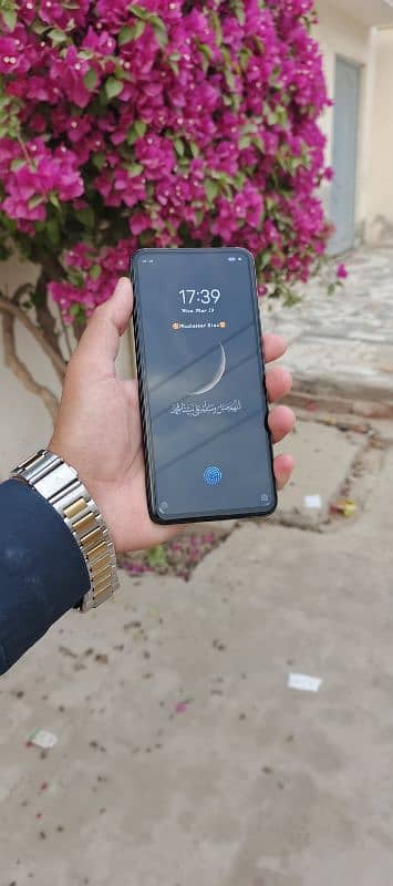 vivo v17 8/256 1