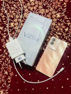 Vivo V29e 8/256