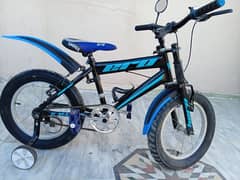 ERO BICYCLE (BRAND NEW)