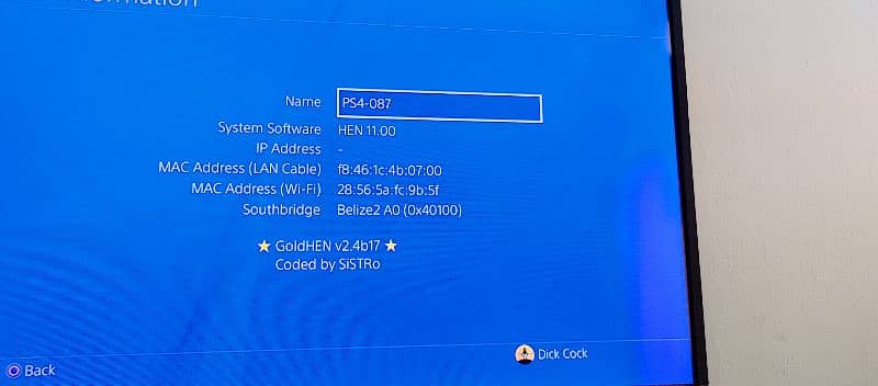 PS4 Pro jailbreak 6