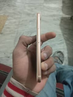 iphone 8 nopta 256 gb