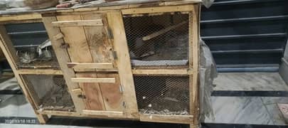 Birds Cage 2 door