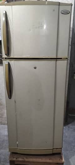 medium size fridge available waves company