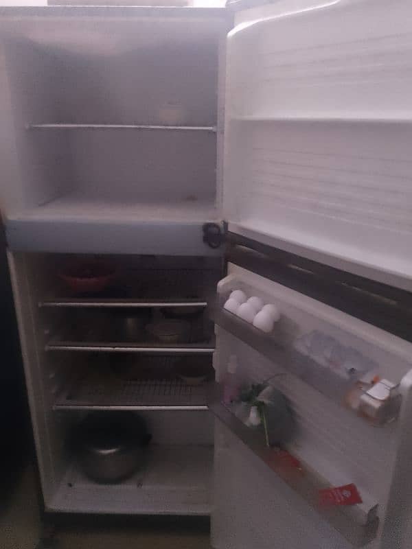 dawlence fridge 2