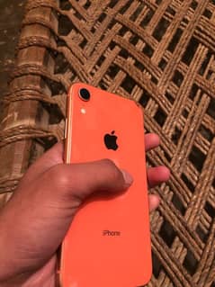 iPhone XR