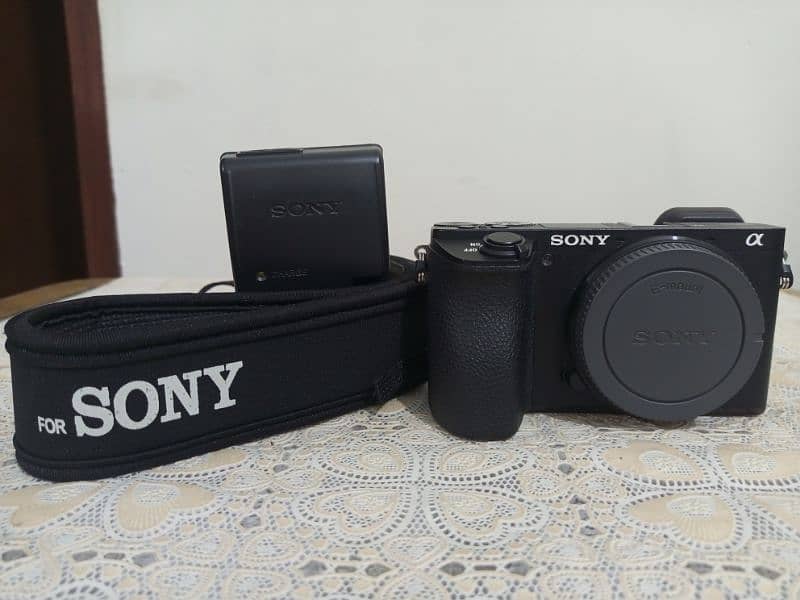 Sony Alfa 6500 With Sigma 16mm 1.4 3