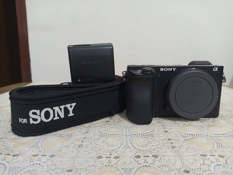 Sony Alfa 6500 With Sigma 16mm 1.4 5