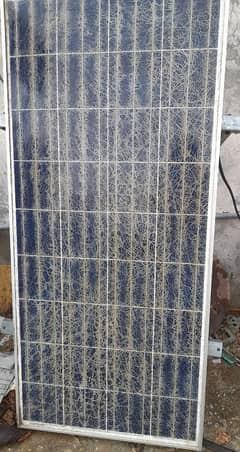 Solar Plate 150 Watts