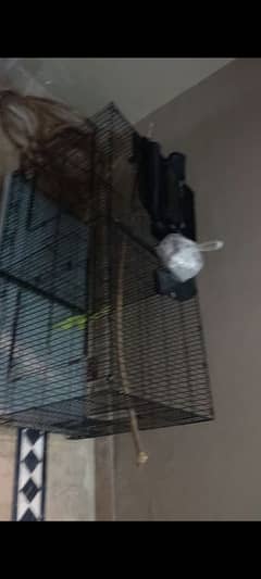 parrots cage