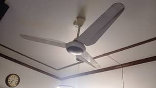 Selling ceiling fans SK brand non inverter