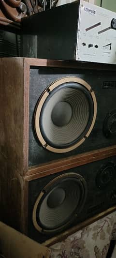 8ampier big amp with japanese woofer big sound