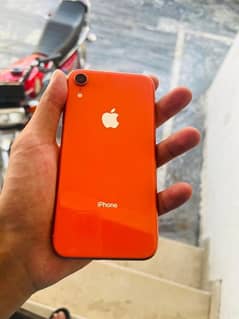 Iphone XR Pta Approved 64GB