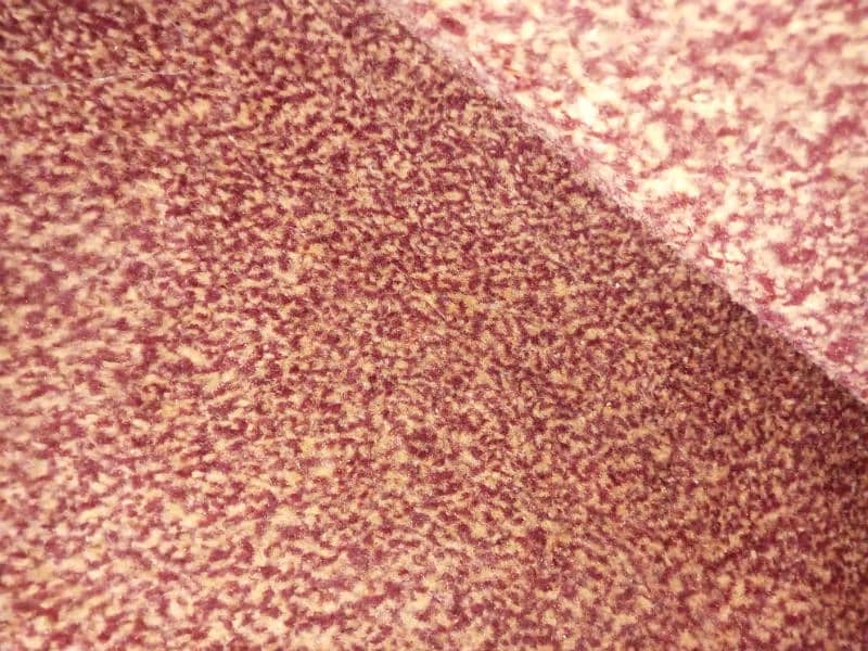 carpet 0