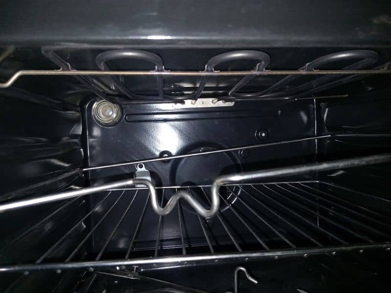 Fotile Electric and gas oven 6