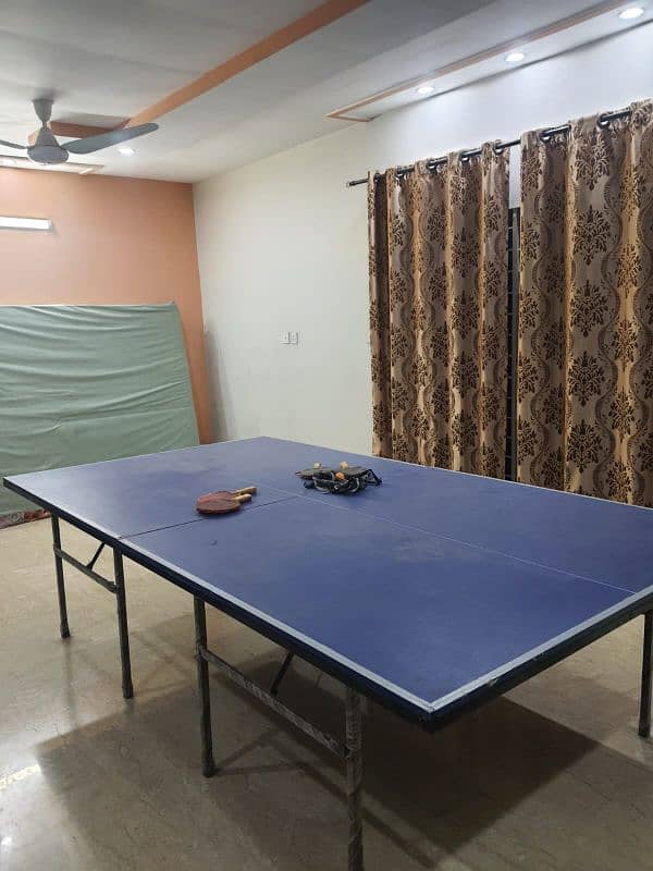 Table tennis 2