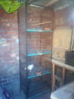 parrot  cage  for sale