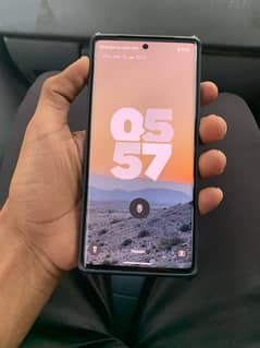 Google pixel 6 pro OEM unlock