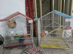 Parrot cage