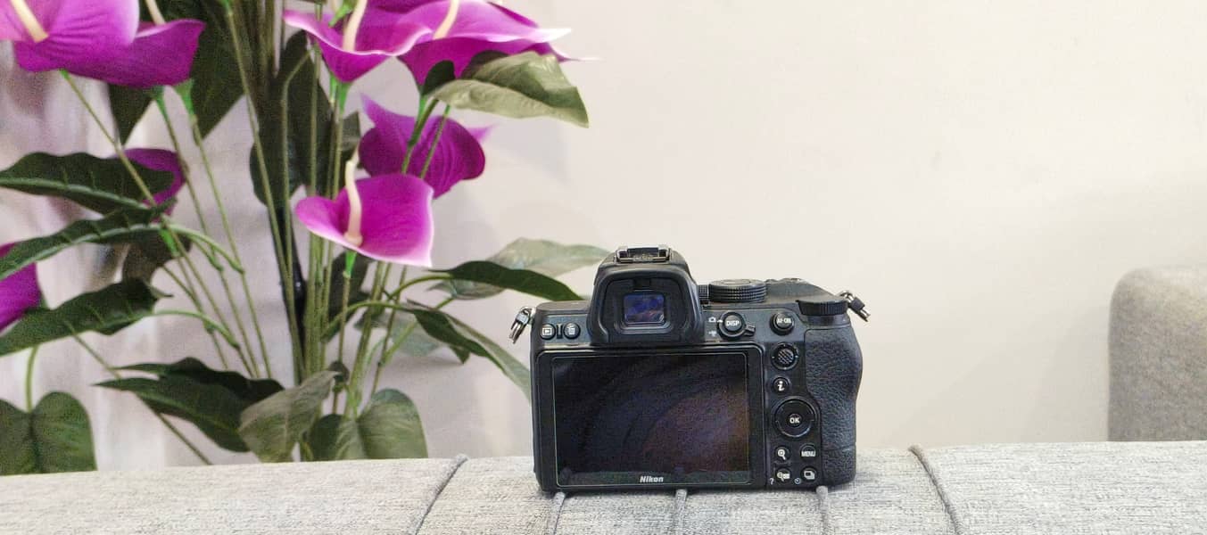 Nikon Z5 Full Frame with adapter 6