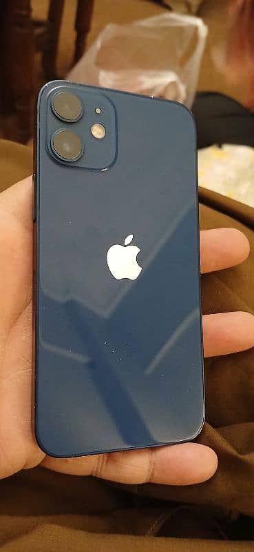 iPhone 12 mini 1