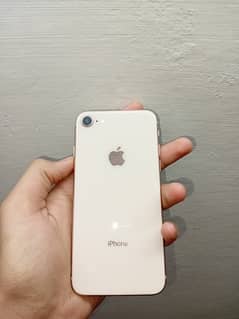 iphone 8 64gb non pta all genuine