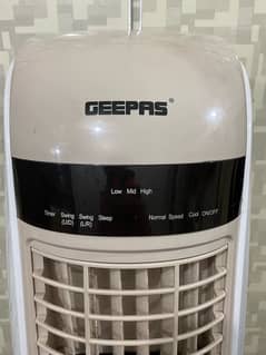 GEEPAS