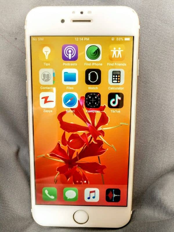 I Phone 6 1