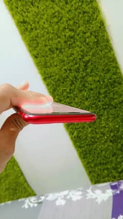 iPhone XR convert 11 red edition