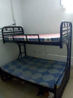 bunk bed