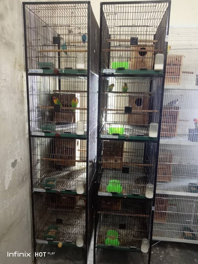 birds cage 3 pieces 1