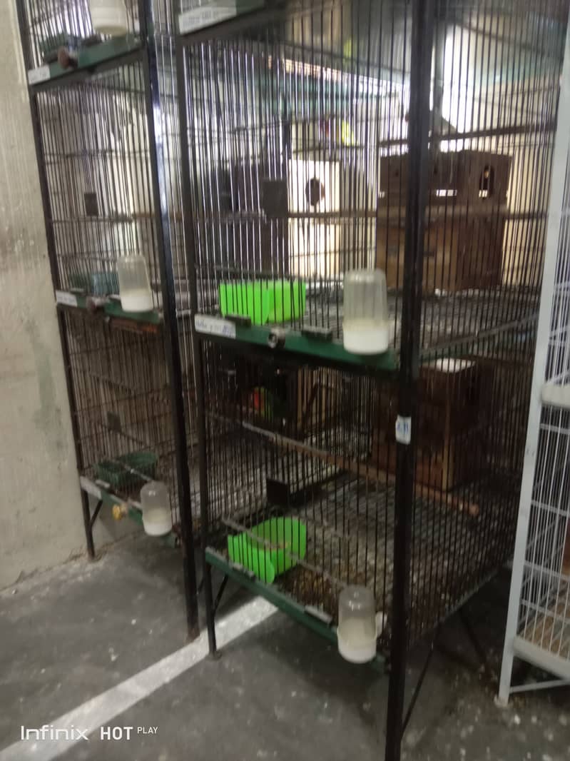 birds cage 3 pieces 2