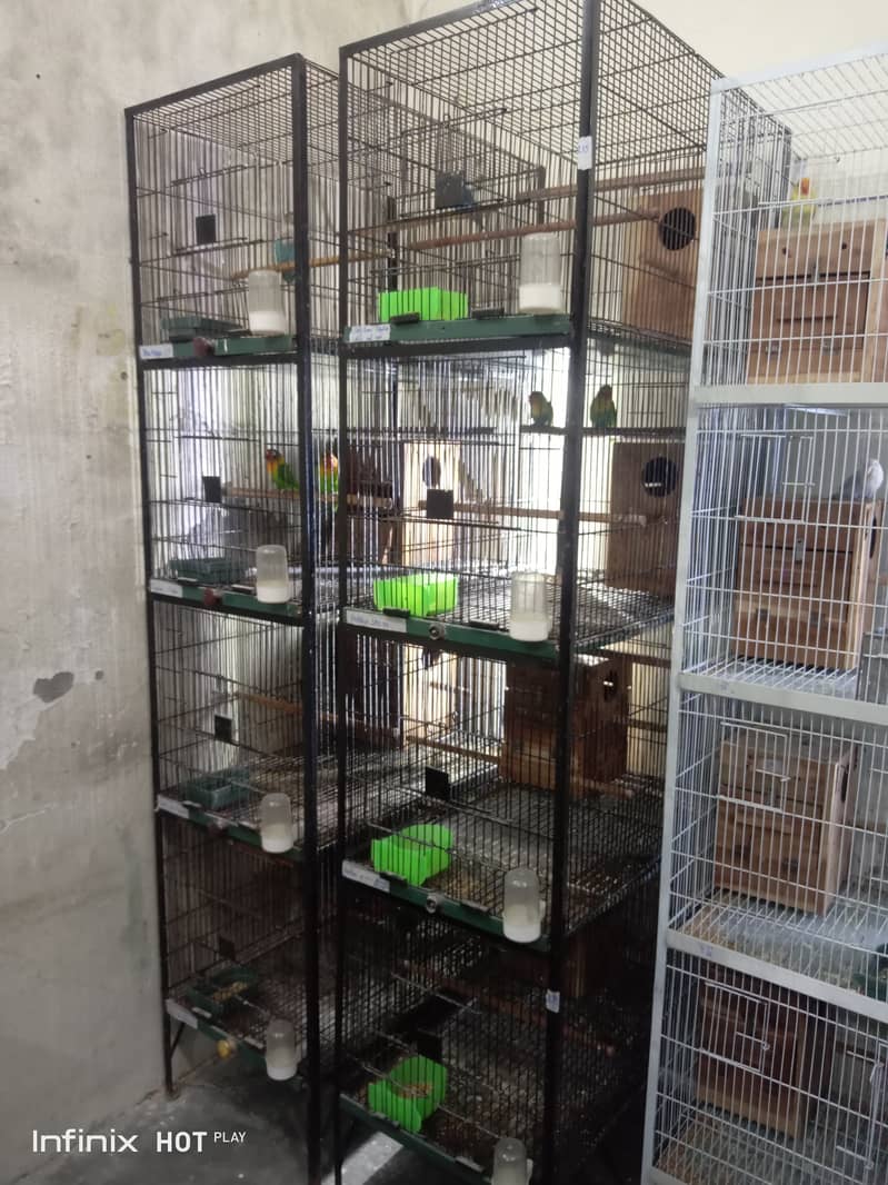 birds cage 3 pieces 3