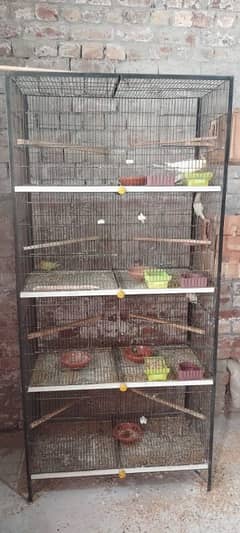 Birds Cage for Sale in Good Condition