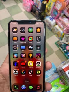 iPhone XS Max 256