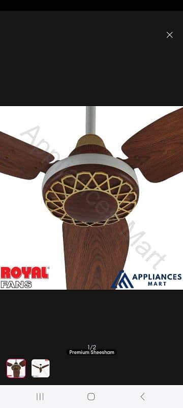 2 pcs Royal Fan fancy golden & BROWN  FRESH 5000 PER PC 03009298777 1