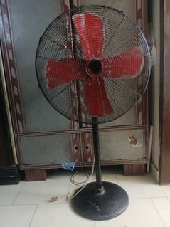 fan