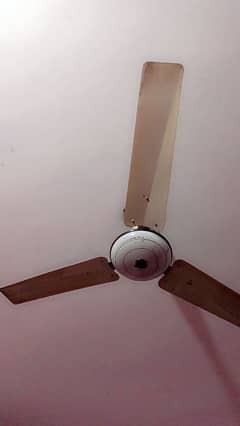 ceiling fan copper winding