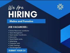 womens Required at Different Positions for Office -