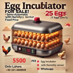  Egg Incubator for Sale – Semi-Automatic 