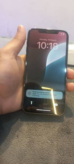 Iphone 12 pro Factory Unlock 256 GB