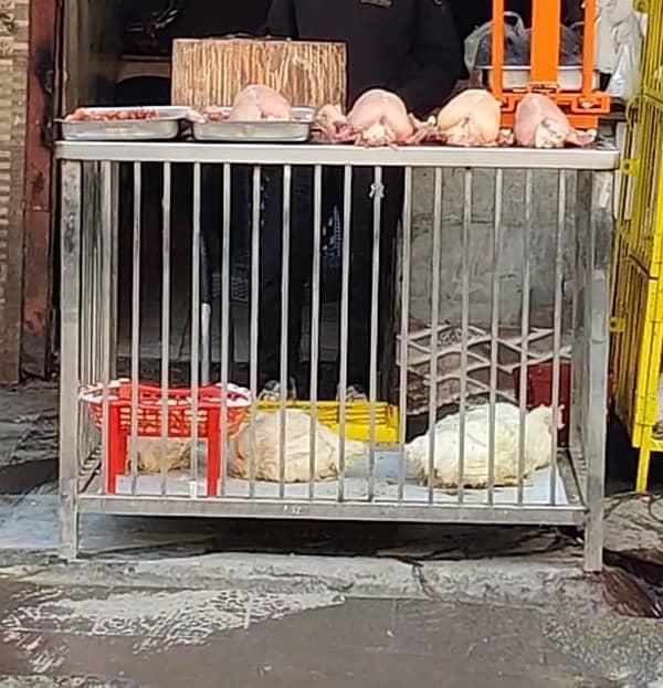 Running Chicken Shop adda for sale 1