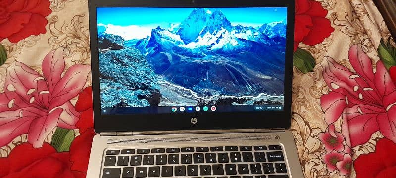 HP Chromebook 13 7