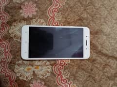 vivo y66 for sale