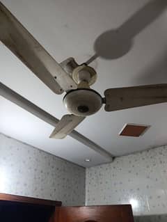 3 Fans Younas Brand 4500 For Each