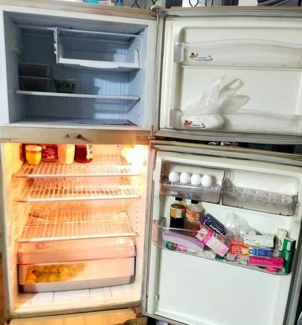 pel refrigerator 2